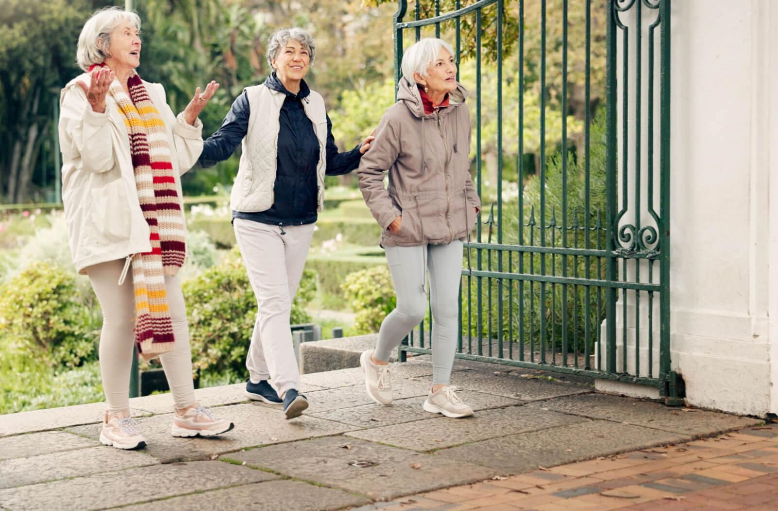 A group of older adults laugh while having a fancy lunch during a day trip through a cafe in Birmingham